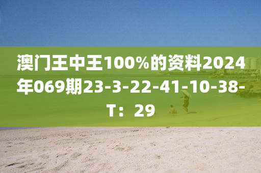 澳門王中王100%的資料2024年069期23-3-22-41-10-38-T：29
