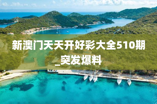 新澳門天天開好彩大全510期_突發(fā)爆料