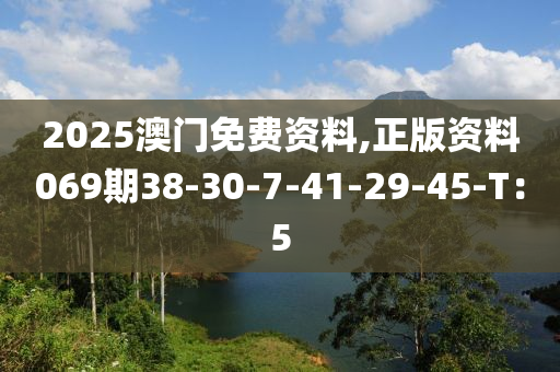 2025澳門免費資料,正版資料069期38-30-7-41-29-45-T：5