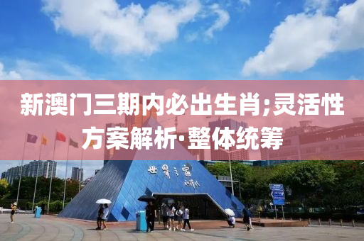 新澳門三期內(nèi)必出生肖;靈活性方案解析·整體統(tǒng)籌