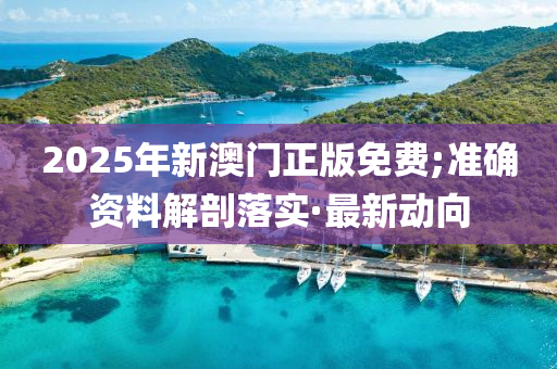 2025年新澳門(mén)正版免費(fèi);準(zhǔn)確資料解剖落實(shí)·最新動(dòng)向