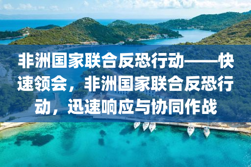 非洲國家聯(lián)合反恐行動——快速領(lǐng)會，非洲國家聯(lián)合反恐行動，迅速響應(yīng)與協(xié)同作戰(zhàn)
