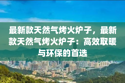 最新款天然氣烤火爐子，最新款天然氣烤火爐子：高效取暖與環(huán)保的首選