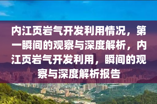 內(nèi)江頁(yè)巖氣開(kāi)發(fā)利用情況，第一瞬間的觀(guān)察與深度解析，內(nèi)江頁(yè)巖氣開(kāi)發(fā)利用，瞬間的觀(guān)察與深度解析報(bào)告