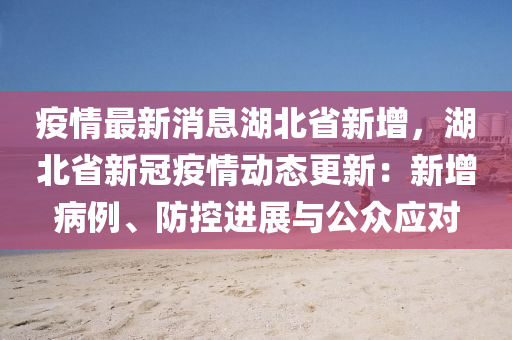 疫情最新消息湖北省新增，湖北省新冠疫情動態(tài)更新：新增病例、防控進(jìn)展與公眾應(yīng)對