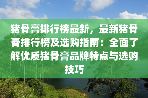豬骨膏排行榜最新，最新豬骨膏排行榜及選購指南：全面了解優(yōu)質(zhì)豬骨膏品牌特點(diǎn)與選購技巧