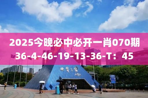 2025今晚必中必開一肖070期36-4-46-19-13-36-T：45