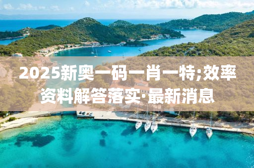 2025新奧一碼一肖一特;效率資料解答落實·最新消息