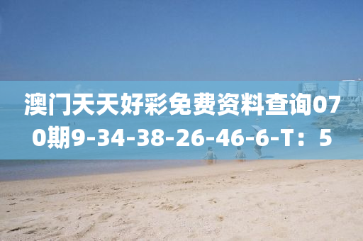 澳門天天好彩免費資料查詢070期9-34-38-26-46-6-T：5
