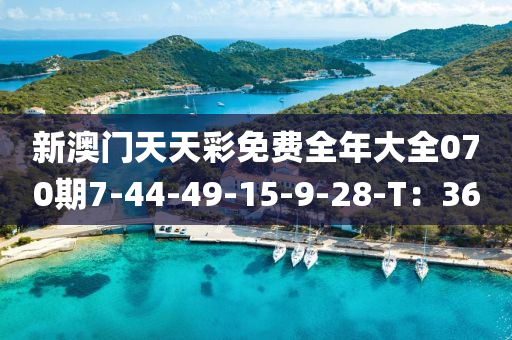 新澳門(mén)天天彩免費(fèi)全年大全070期7-44-49-15-9-28-T：36