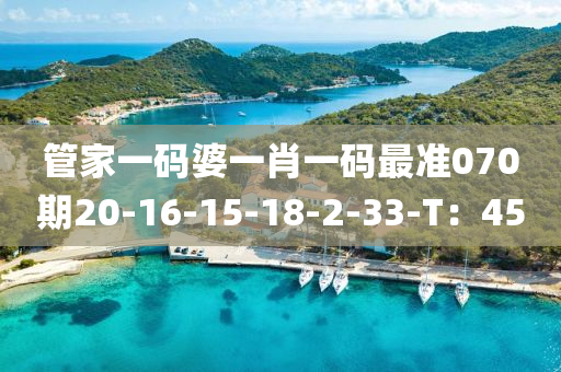 管家一碼婆一肖一碼最準(zhǔn)070期20-16-15-18-2-33-T：45