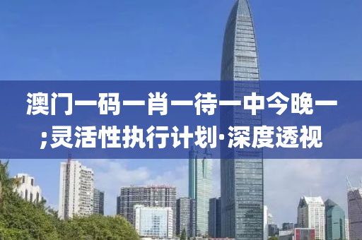 澳門(mén)一碼一肖一待一中今晚一;靈活性執(zhí)行計(jì)劃·深度透視