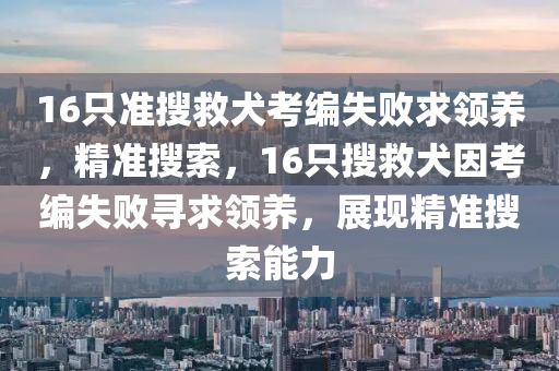 16只準搜救犬考編失敗求領養(yǎng)，精準搜索，16只搜救犬因考編失敗尋求領養(yǎng)，展現(xiàn)精準搜索能力