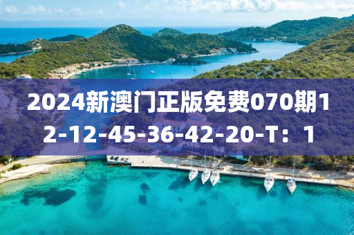 2024新澳門(mén)正版免費(fèi)070期12-12-45-36-42-20-T：1