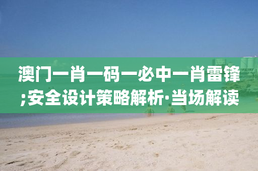 澳門一肖一碼一必中一肖雷鋒;安全設(shè)計策略解析·當(dāng)場解讀