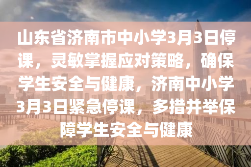 山東省濟(jì)南市中小學(xué)3月3日停課，靈敏掌握應(yīng)對策略，確保學(xué)生安全與健康，濟(jì)南中小學(xué)3月3日緊急停課，多措并舉保障學(xué)生安全與健康