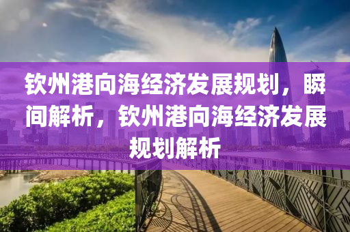 欽州港向海經(jīng)濟(jì)發(fā)展規(guī)劃，瞬間解析，欽州港向海經(jīng)濟(jì)發(fā)展規(guī)劃解析