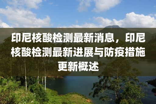 印尼核酸檢測最新消息，印尼核酸檢測最新進(jìn)展與防疫措施更新概述
