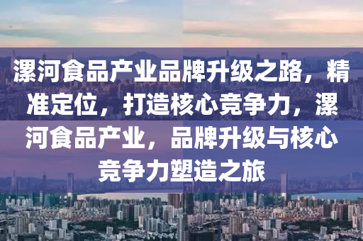 漯河食品產(chǎn)業(yè)品牌升級之路，精準(zhǔn)定位，打造核心競爭力，漯河食品產(chǎn)業(yè)，品牌升級與核心競爭力塑造之旅