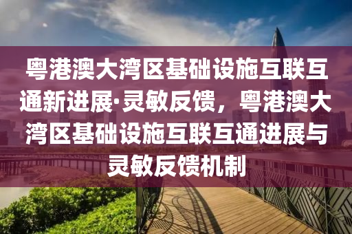 粵港澳大灣區(qū)基礎(chǔ)設(shè)施互聯(lián)互通新進(jìn)展·靈敏反饋，粵港澳大灣區(qū)基礎(chǔ)設(shè)施互聯(lián)互通進(jìn)展與靈敏反饋機(jī)制