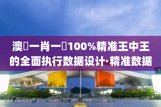 澳門一肖一碼100%精準(zhǔn)王中王的全面執(zhí)行數(shù)據(jù)設(shè)計(jì)·精準(zhǔn)數(shù)據(jù)