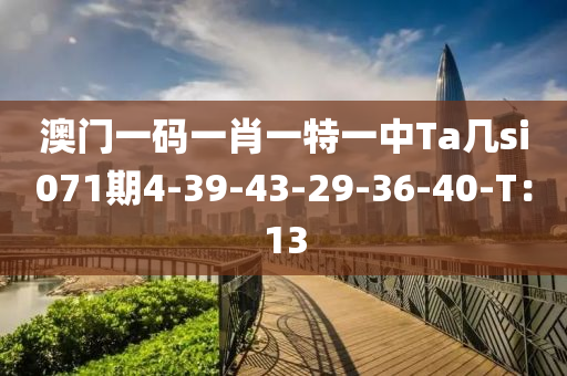 澳門一碼一肖一特一中Ta幾si071期4-39-43-29-36-40-T：13