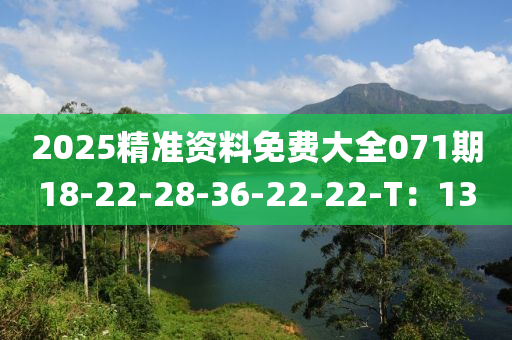 2025精準資料免費大全071期18-22-28-36-22-22-T：13