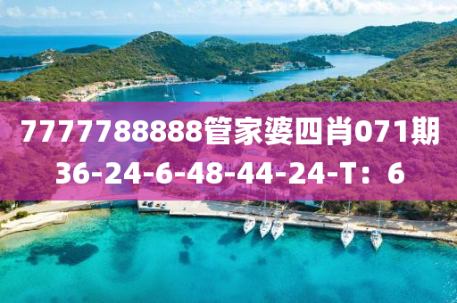 7777788888管家婆四肖071期36-24-6-48-44-24-T：6