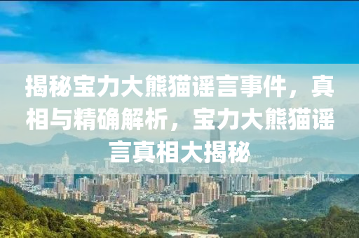 揭秘寶力大熊貓謠言事件，真相與精確解析，寶力大熊貓謠言真相大揭秘
