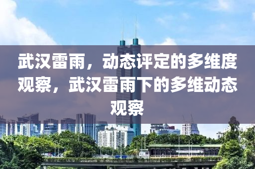 武漢雷雨，動態(tài)評定的多維度觀察，武漢雷雨下的多維動態(tài)觀察