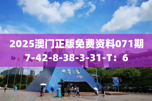 2025澳門正版免費資料071期7-42-8-38-3-31-T：6