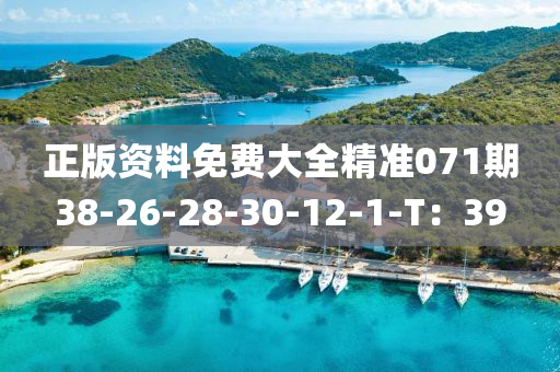正版資料免費大全精準071期38-26-28-30-12-1-T：39