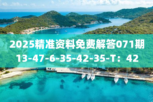2025精準(zhǔn)資料免費(fèi)解答071期13-47-6-35-42-35-T：42