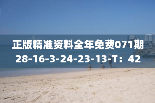 正版精準(zhǔn)資料全年免費071期28-16-3-24-23-13-T：42