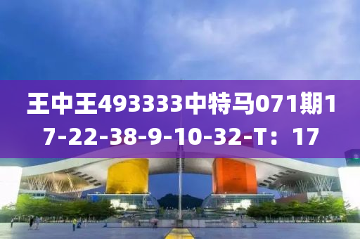 王中王493333中特馬071期17-22-38-9-10-32-T：17