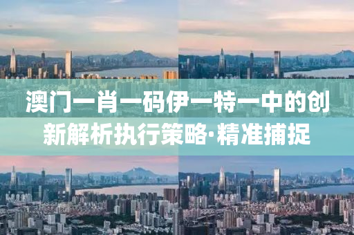 澳門一肖一碼伊一特一中的創(chuàng)新解析執(zhí)行策略·精準捕捉