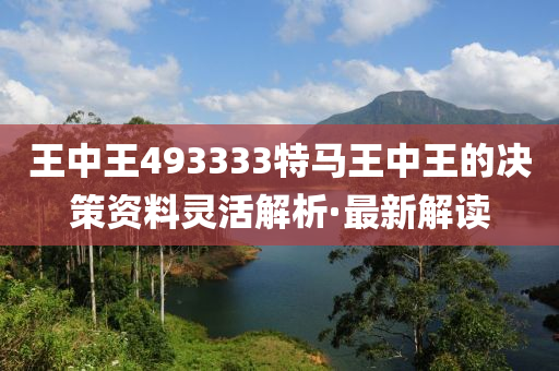 王中王493333特馬王中王的決策資料靈活解析·最新解讀