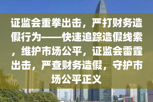 證監(jiān)會(huì)重拳出擊，嚴(yán)打財(cái)務(wù)造假行為——快速追蹤造假線(xiàn)索，維護(hù)市場(chǎng)公平，證監(jiān)會(huì)雷霆出擊，嚴(yán)查財(cái)務(wù)造假，守護(hù)市場(chǎng)公平正義