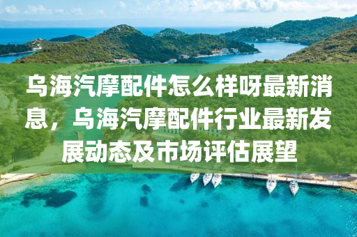 烏海汽摩配件怎么樣呀最新消息，烏海汽摩配件行業(yè)最新發(fā)展動態(tài)及市場評估展望