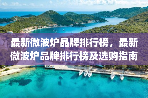 最新微波爐品牌排行榜，最新微波爐品牌排行榜及選購指南