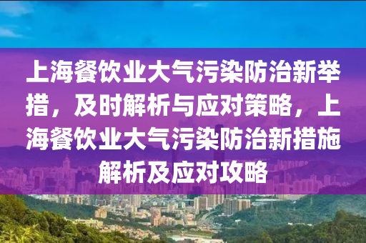 上海餐飲業(yè)大氣污染防治新舉措，及時解析與應(yīng)對策略，上海餐飲業(yè)大氣污染防治新措施解析及應(yīng)對攻略