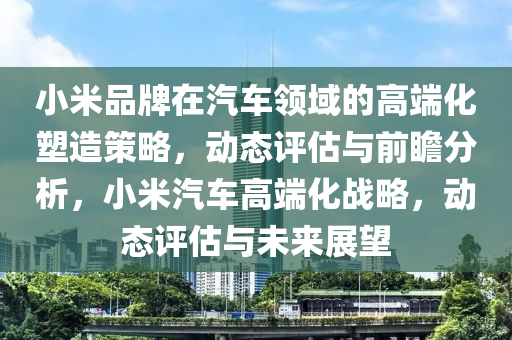 小米品牌在汽車領域的高端化塑造策略，動態(tài)評估與前瞻分析，小米汽車高端化戰(zhàn)略，動態(tài)評估與未來展望