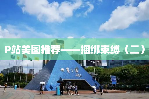 P站美圖推薦——捆綁束縛（二）
