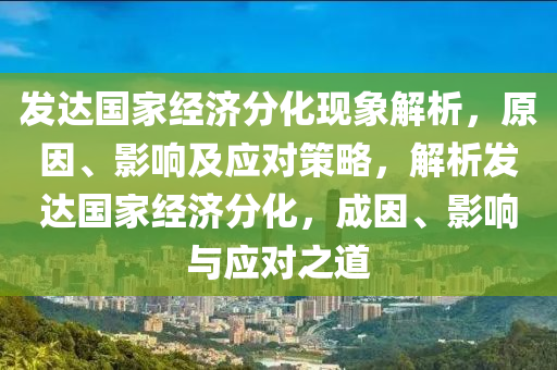 發(fā)達國家經(jīng)濟分化現(xiàn)象解析，原因、影響及應(yīng)對策略，解析發(fā)達國家經(jīng)濟分化，成因、影響與應(yīng)對之道