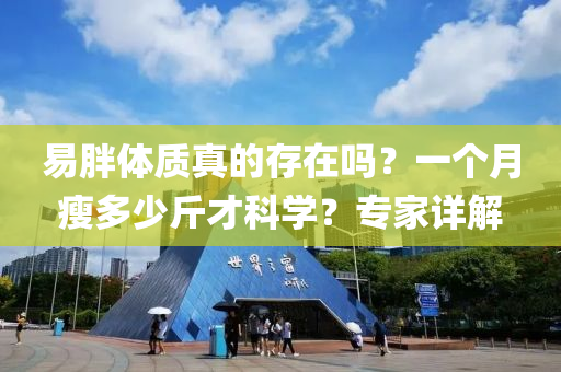 2025年3月12日 第11頁