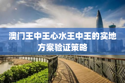 澳門王中王心水王中王的實(shí)地方案驗(yàn)證策略