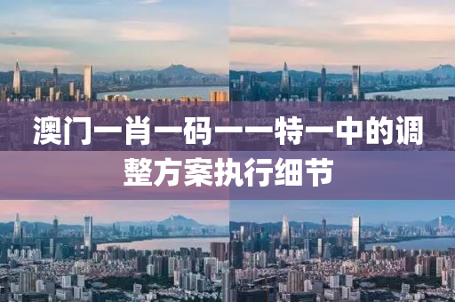 澳門(mén)一肖一碼一一特一中的調(diào)整方案執(zhí)行細(xì)節(jié)