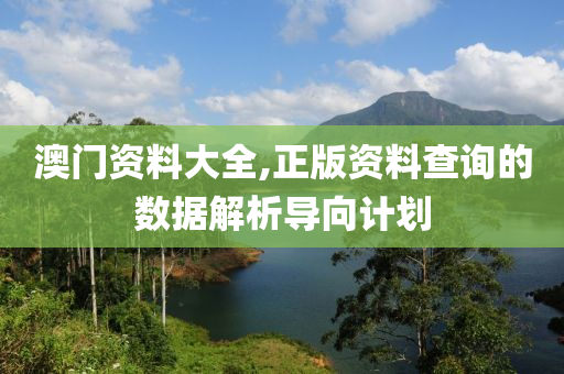 澳門資料大全,正版資料查詢的數(shù)據(jù)解析導(dǎo)向計劃
