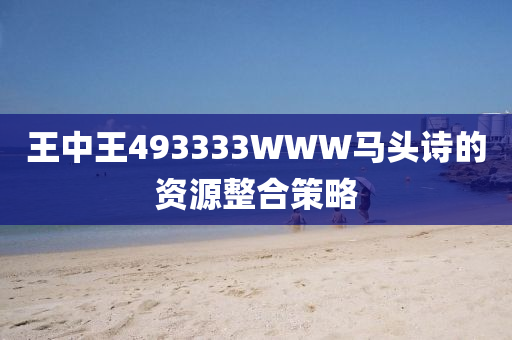王中王493333WWW馬頭詩的資源整合策略