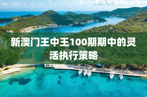 新澳門王中王100期期中的靈活執(zhí)行策略